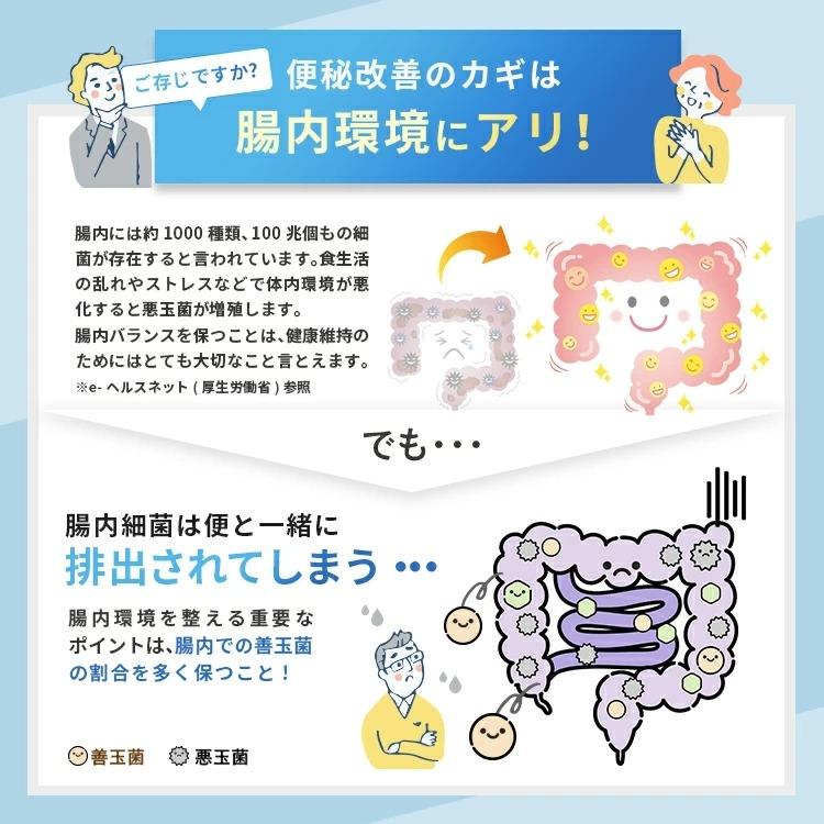 明治薬品 公式 ラクトロン錠 180錠 3袋 指定医薬部外品 整腸