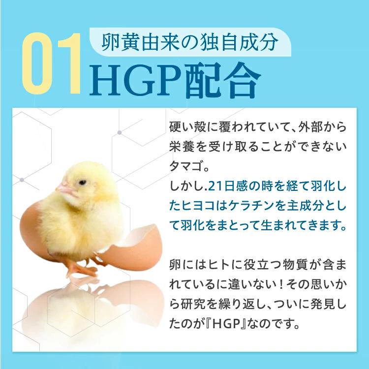 ニューモ サプリ【公式】ニューモ サプリメント 90粒 2袋 ヘアトニック