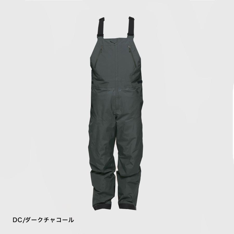 GOLDWIN（ゴールドウイン） スキーウェア スキーパンツ パンツ メンズ