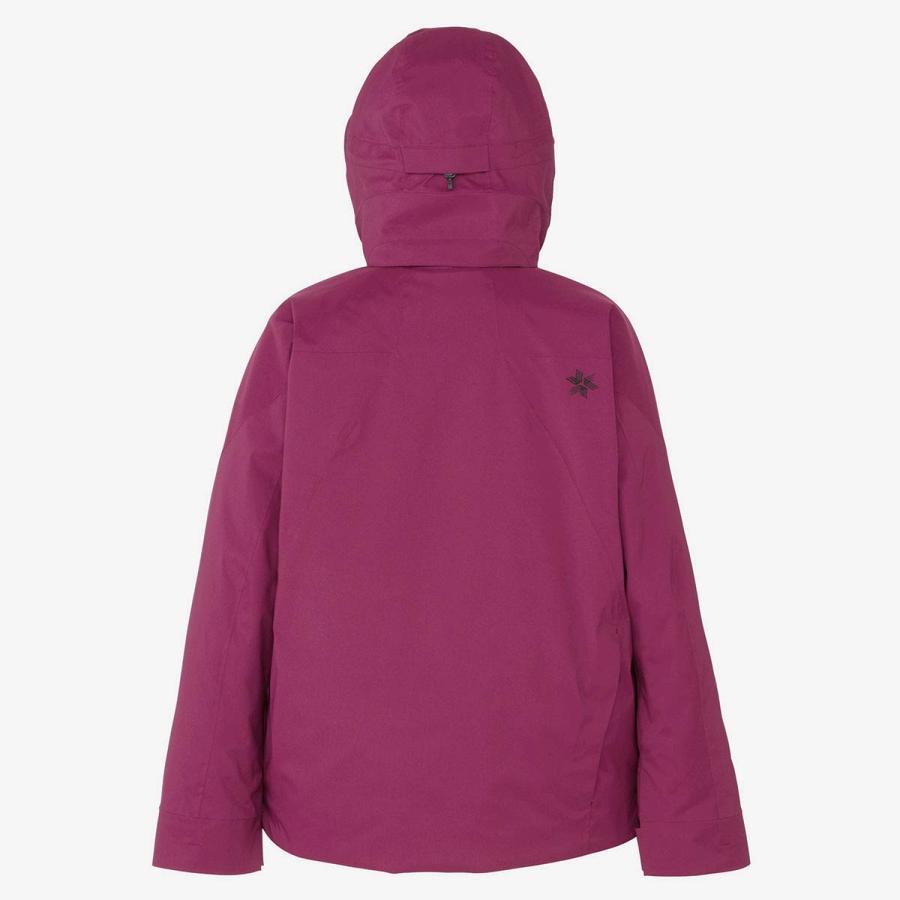 GOLDWIN（ゴールドウイン） スキーウェア メンズ スキージャケット