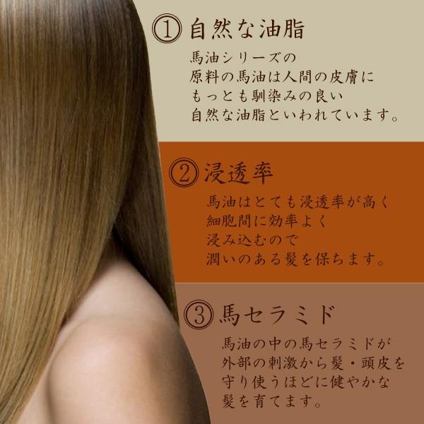 アズマ商事 馬油シャンプー・トリートメントセット : タングラム Yahoo