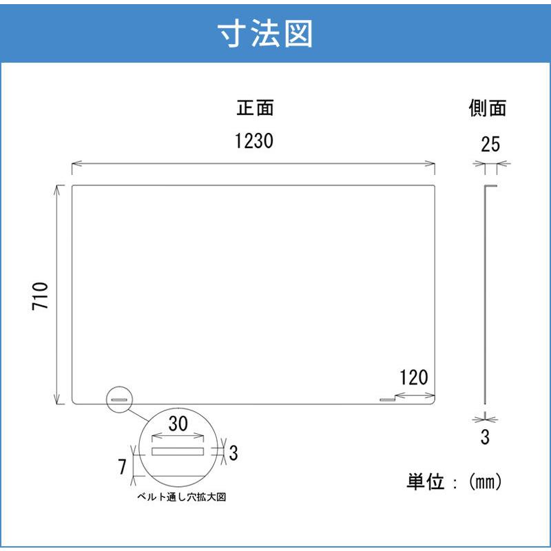 ブルーライトカット 有機ELテレビ 保護パネル 55型 55インチ ベルト付