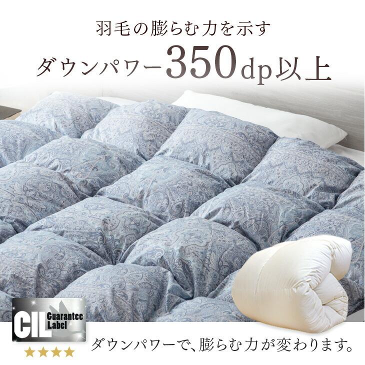 タンスのゲン 羽毛布団 セミダブル 洗える 羽毛ふとん 掛け布団 冬用