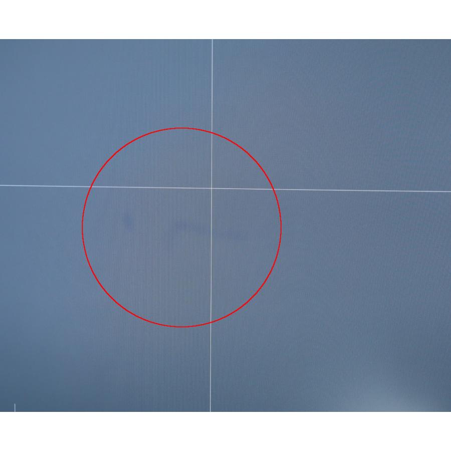 モニター EIZO RadiForce RX440 29.8インチ非光沢IPSパネル WQXGA