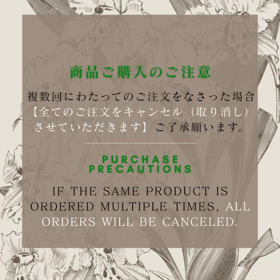 宇治 丸久小山園 抹茶 青嵐（あおあらし） 100g袋入り 薄茶用 : お