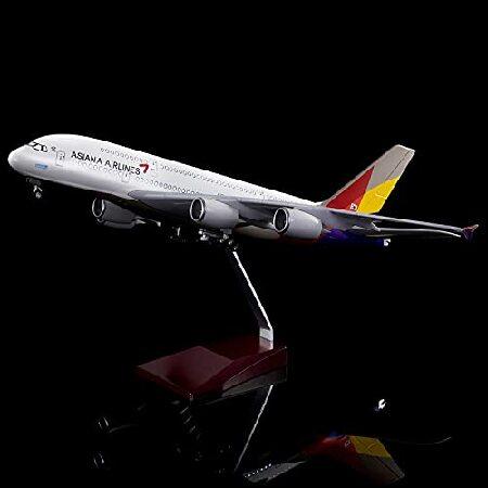 24時間 18インチ 1:130スケール 飛行機モデル アシアナ航空 エアバス