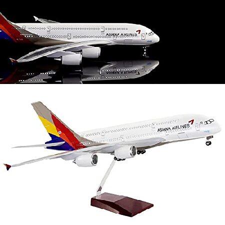 24時間 18インチ 1:130スケール 飛行機モデル アシアナ航空 エアバス