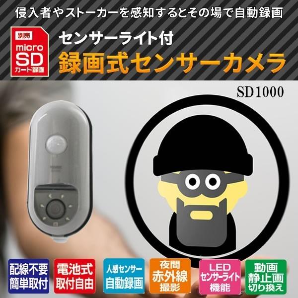 REVEX（リーベックス） SDカード録画式センサーカメラ SD1000