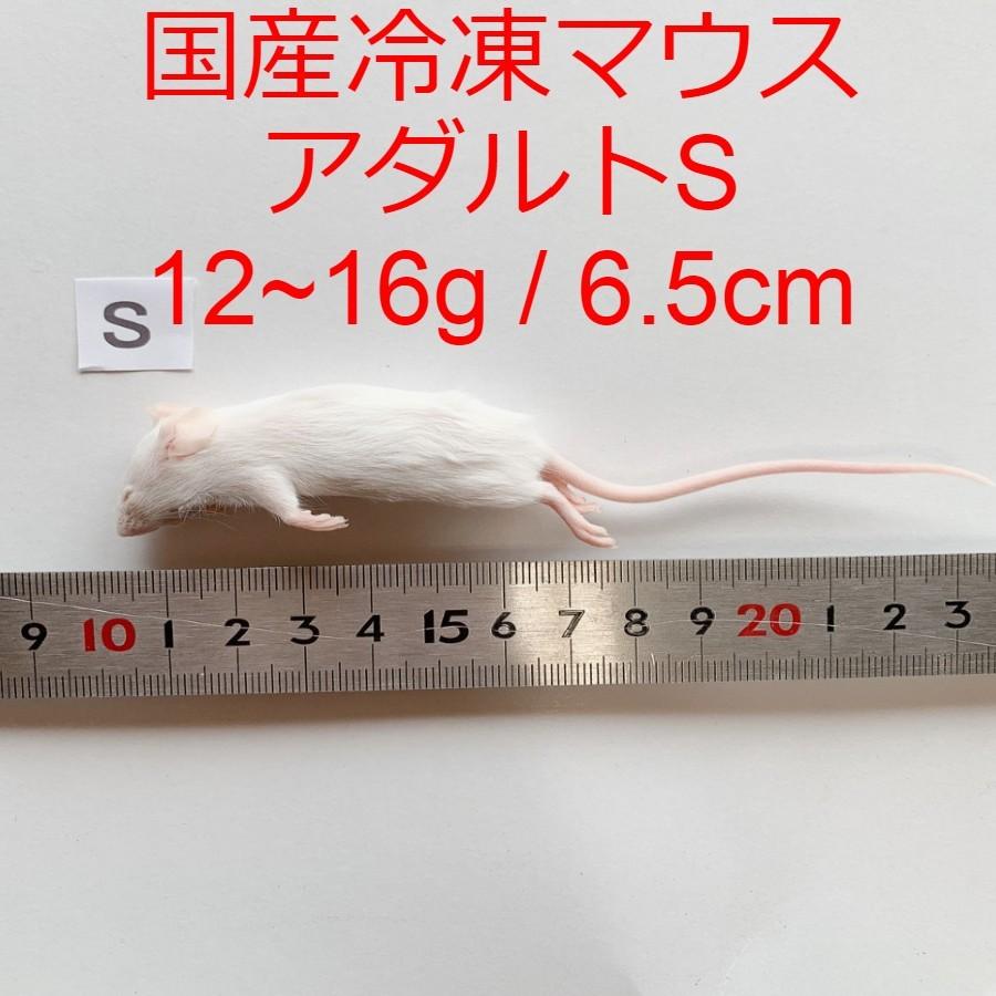 国産 冷凍マウス アダルトS 10匹 冷凍餌 12~16g / 6.5cm ショップザ