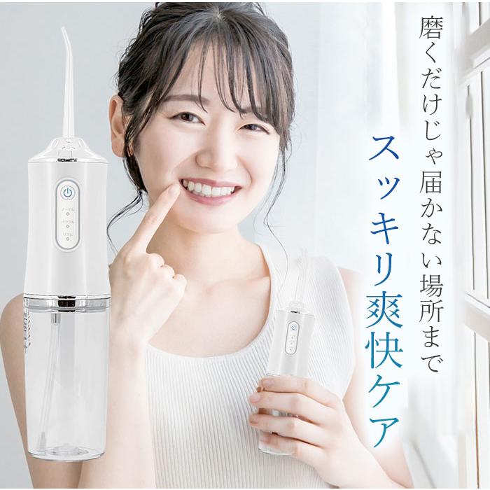 クーポン発行中!!＞USB充電式口腔洗浄機 デンタルクリア 歯間ブラシ