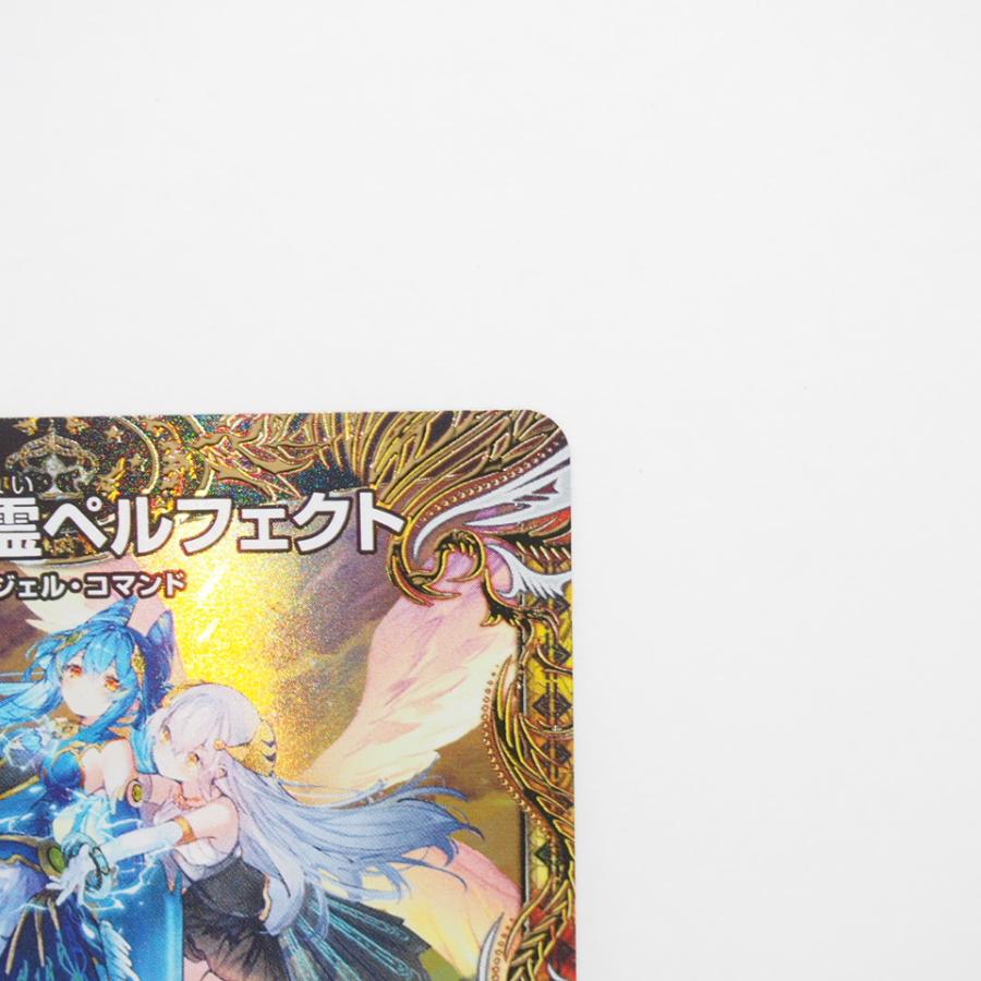 デュエル・マスターズ 支配の精霊ペルフェクト / ギャラクシー