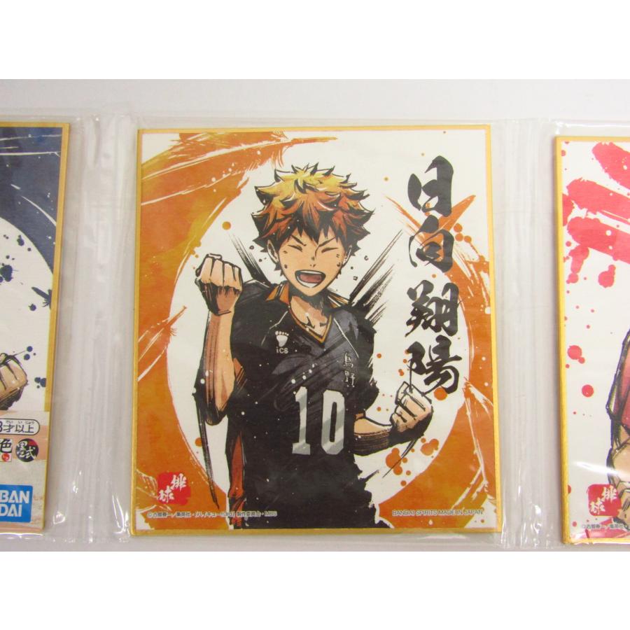 BANDAI（バンダイ） 一番くじ ハイキュー? 〜歓喜の鼓動〜 ラストワン