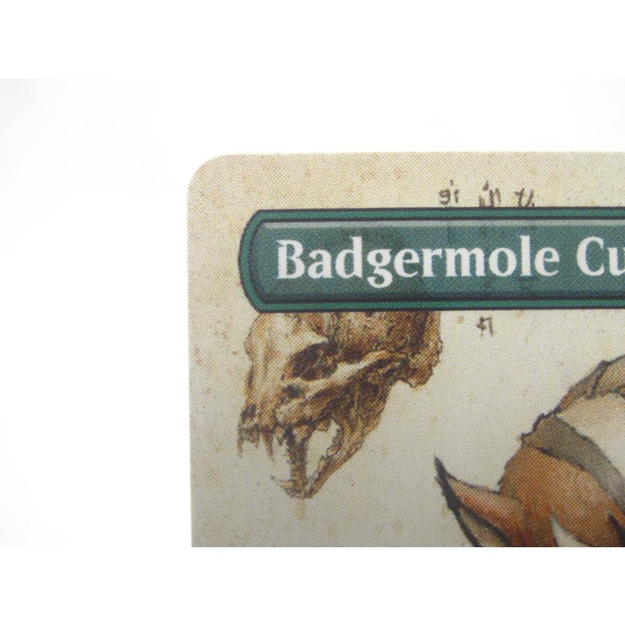 アナグマモグラの仔 ボーダーレス FOIL/MTG/日本語版/アナグマモグラの