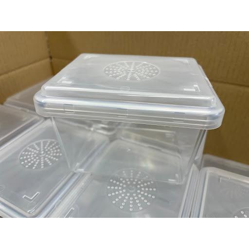 クワBOXMS1ナチュラル 【LIGHT氏考案】小型種の飼育ケースに最適