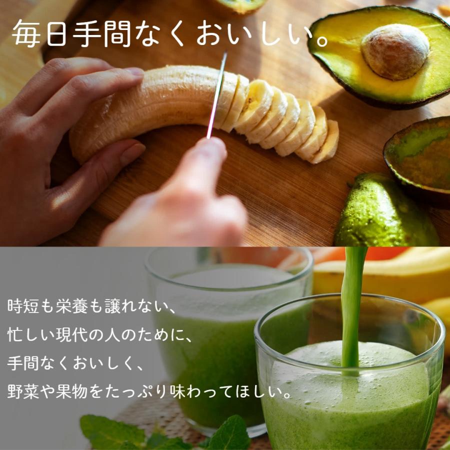 タイガー魔法瓶 爆買 WEB限定 ミキサー 氷対応 パワフル SKT-N101GM