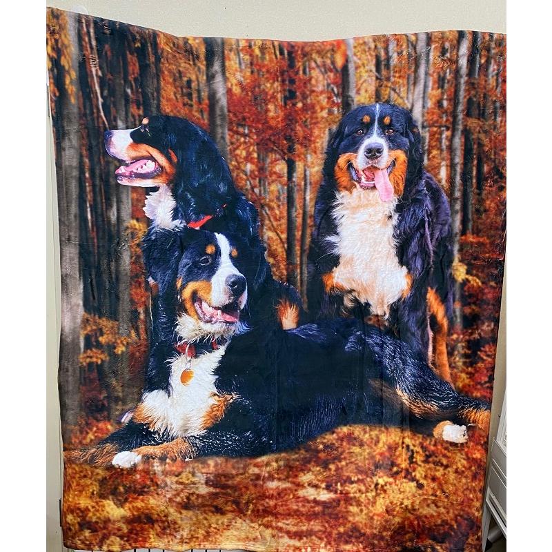 バーニーズマウンテンドッグ ブランケット ひざ掛け 犬 dog DOG 大型犬