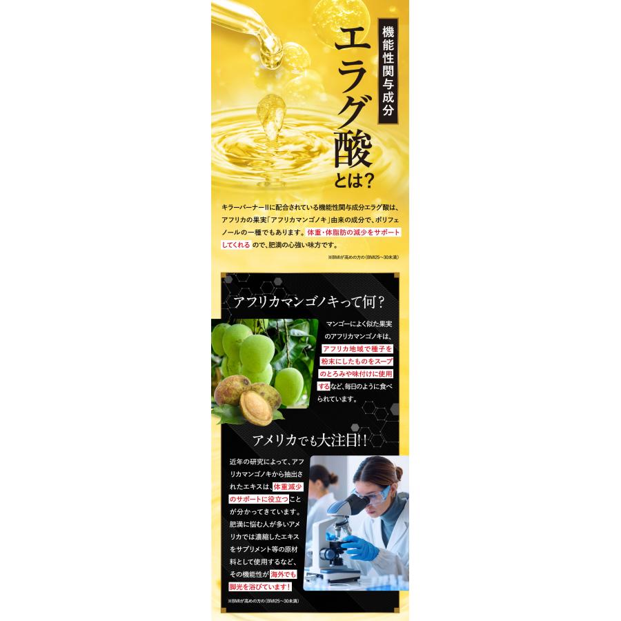 公式_正規販売店】 キラーバーナー II ダイエットサプリ 倖田來未