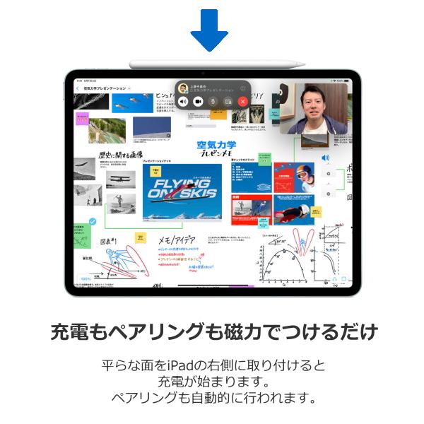 iPad Apple Pencil Pro 純正 新品 アップルペンシルプロ アップル