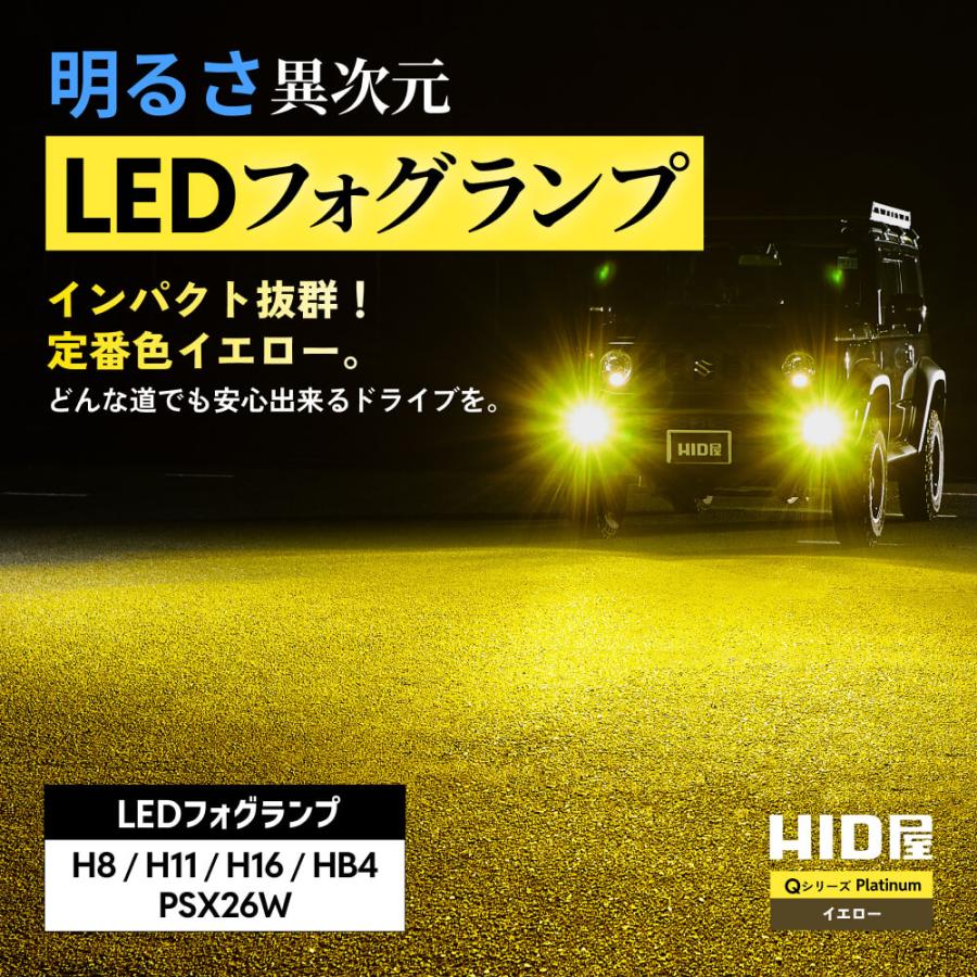 HID屋 爆買 LED バルブ H11 フォグランプ 13100lm Qシリーズ プラチナ