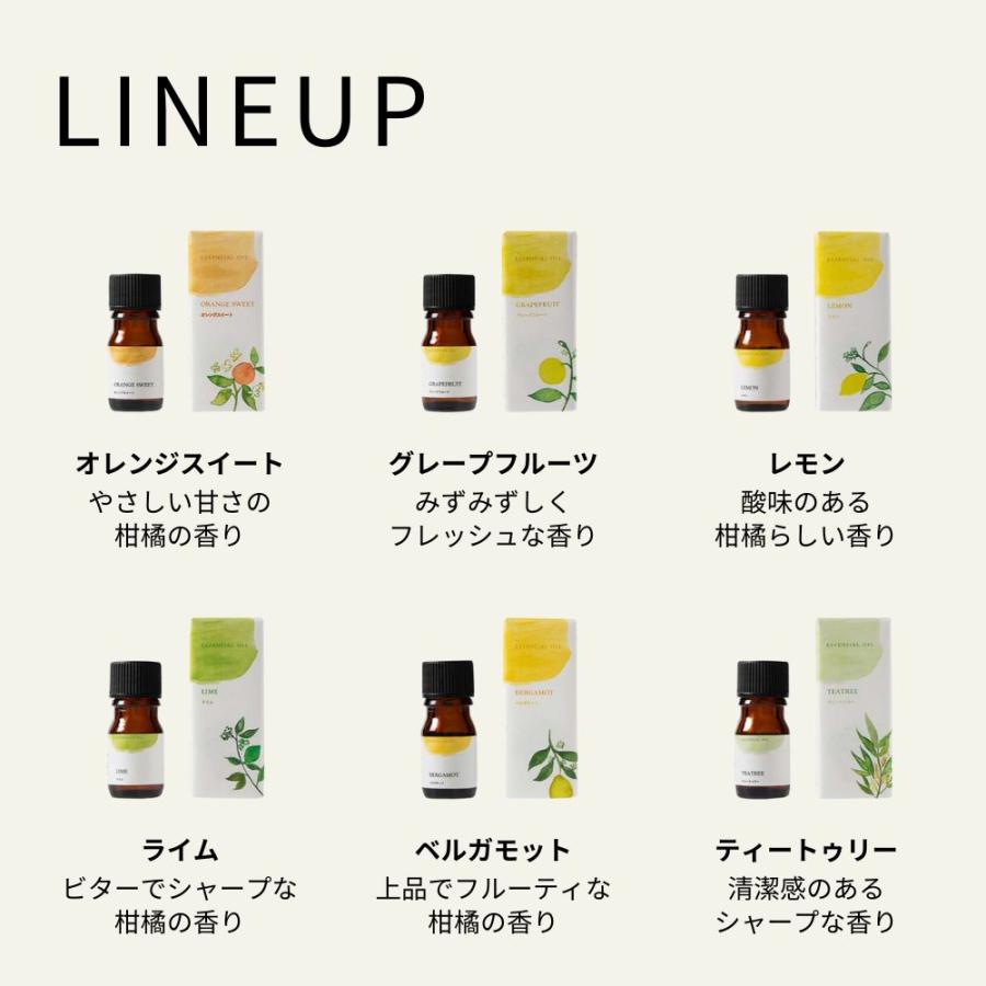 生活の木 公式 大人気エッセンシャルオイル12本セット 5ml×12種類 福袋