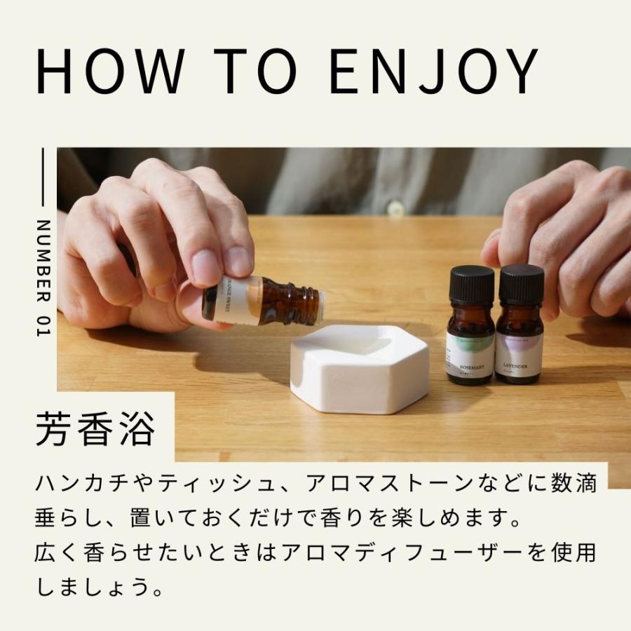 生活の木 公式 大人気エッセンシャルオイル12本セット 5ml×12種類 福袋