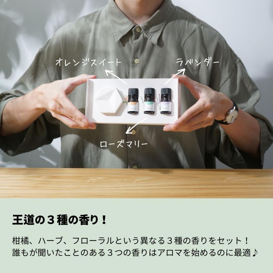 生活の木 公式 生活の木の、はじめてみた。 アロマストーンセット 精油