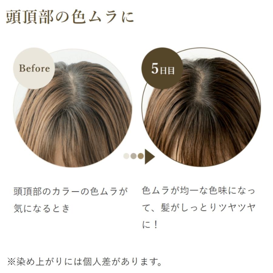 生活の木 公式 ヘアカラー トリートメント ナチュラルブラック 200g