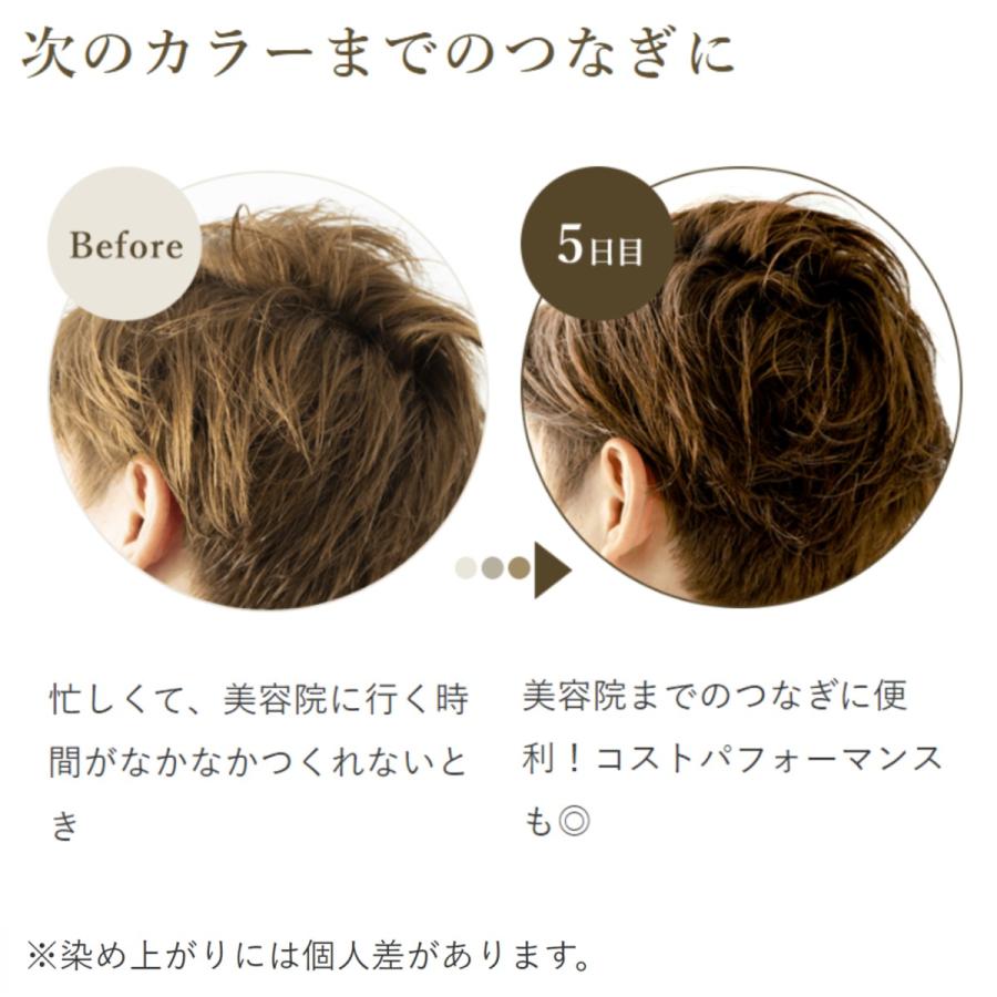 生活の木 公式 ヘアカラー トリートメント ダークブラウン 200g 暖色