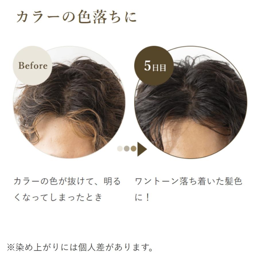生活の木 公式 ヘアカラー トリートメント ダークブラウン 200g 暖色