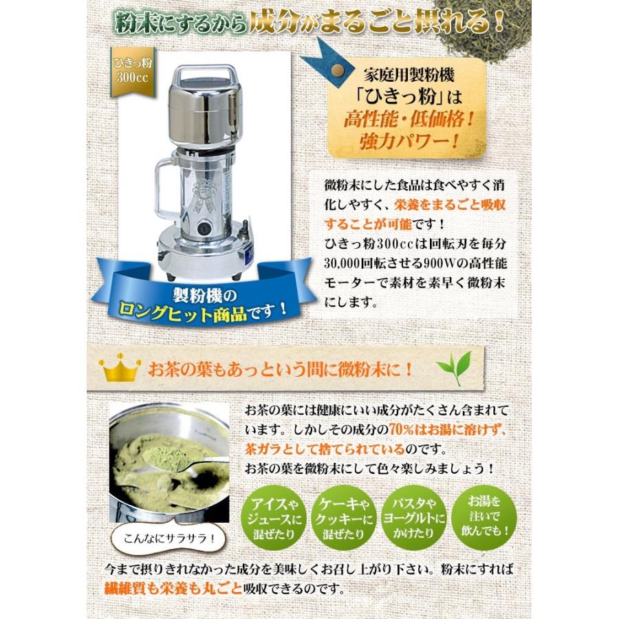 製粉機 ひきっ粉 ひきっこ 300cc T-351 業務用強力製粉器 ミルサー