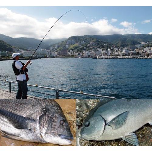 DAIWA（ダイワ） 磯竿 リーガル 3号-53 遠投 : 釣人館ますだ Yahoo!店