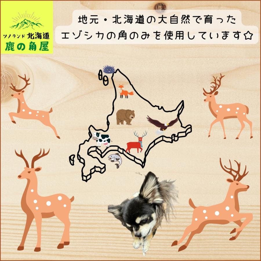 小型犬用 鹿の角 Sサイズ四つ割2本セット ガジガジくん 犬のおもちゃ