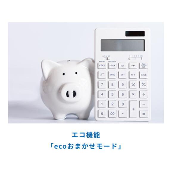 ダイニチ：石油ファンヒーター(Lタイプ)(ムーンホワイト)/FW-66L5-W