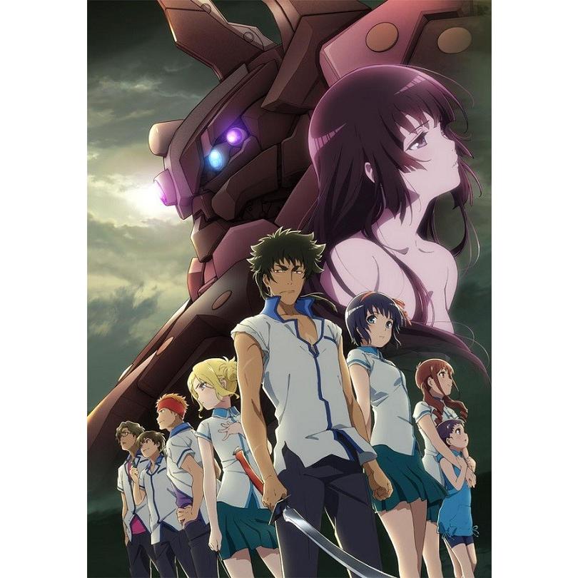 クロムクロ 14-26話BOXセット コレクター版 ブルーレイ Blu-ray