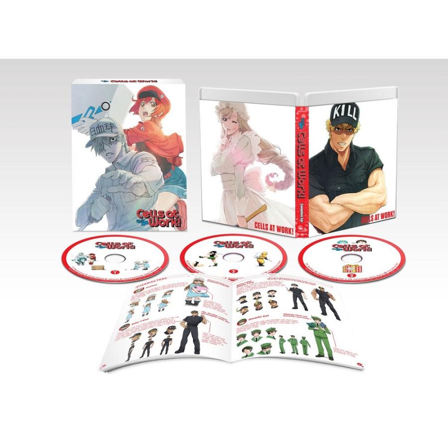 はたらく細胞 全13話+特別編BOXセット ブルーレイ【Blu-ray