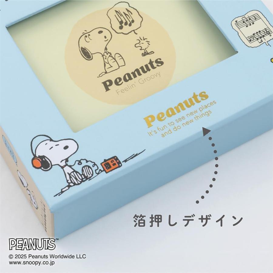 ナカバヤシ L判60枚収納 フォトランク フレームケース アルバム