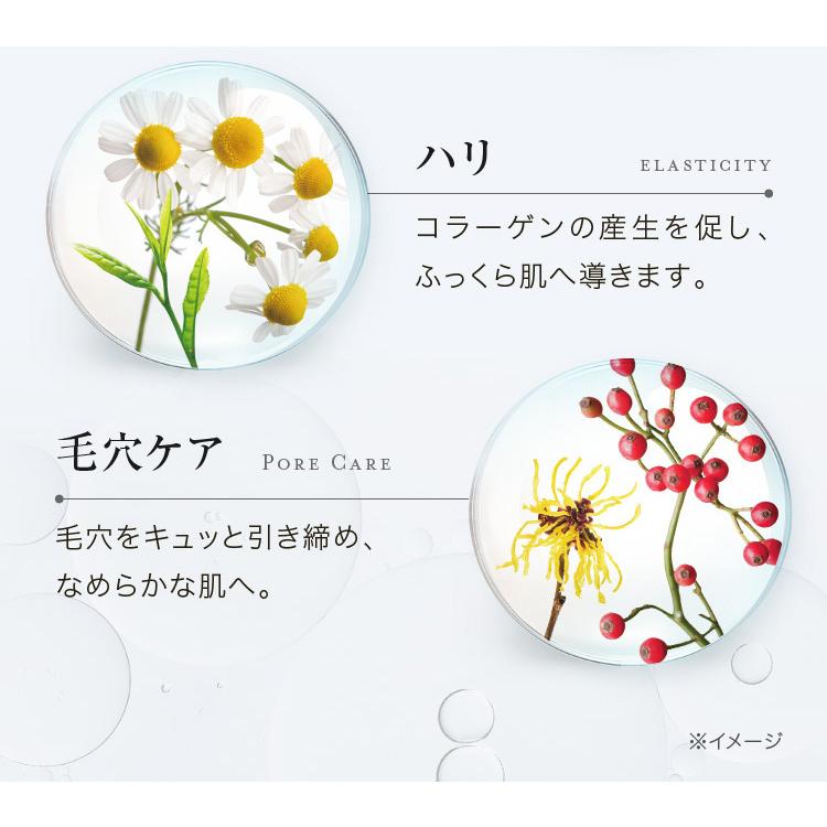 VERNAL（ヴァーナル） [薬用]ウォッシュパウダー 30包 洗顔 パウダー