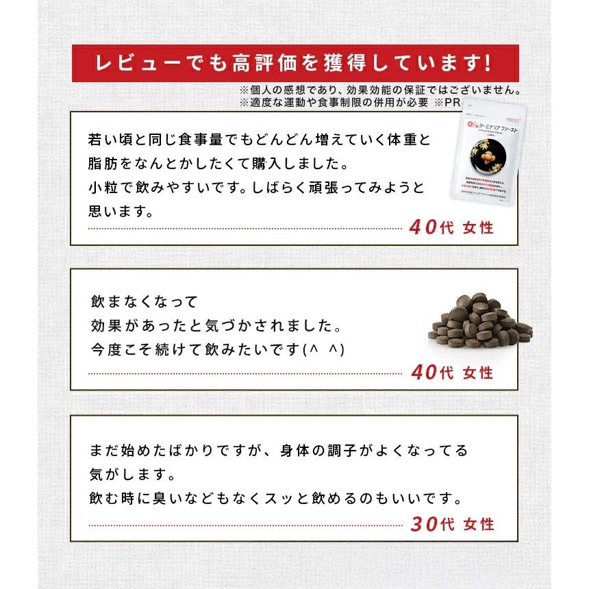 VitabridC 公式 ターミナリアファースト（グルメサプリ）3袋 血糖値 中