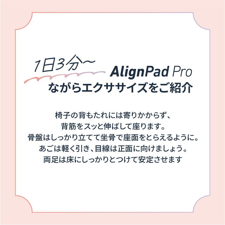座る 尿もれ 対策 クッション アラインパッドプロ 骨盤底筋 ケア 姿勢