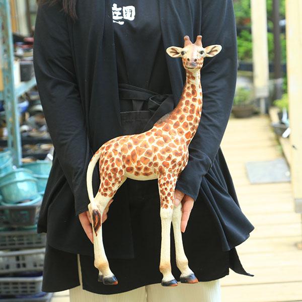 雑貨 置物・フィギュア：キリン*きりん 麒麟 : 遊恵盆栽 Yahoo!店