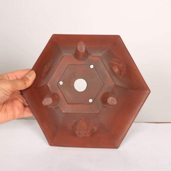 盆栽小鉢：美芸（常滑）六角鬼面足面付鉢 21.5cm*資材 : 遊恵盆栽