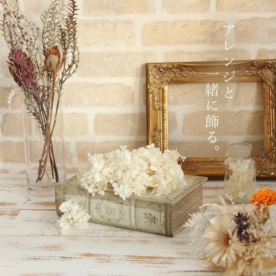 P10倍中 3/2 9:59まで】 プリザーブドフラワー 花材 即日出荷 アナベル