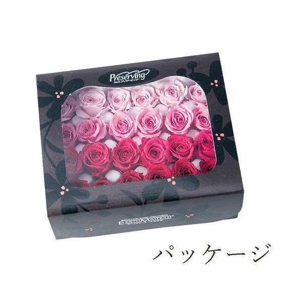 P10倍中 3/2 9:59まで】 プリザーブドフラワー 花材 即日出荷 ビビアン