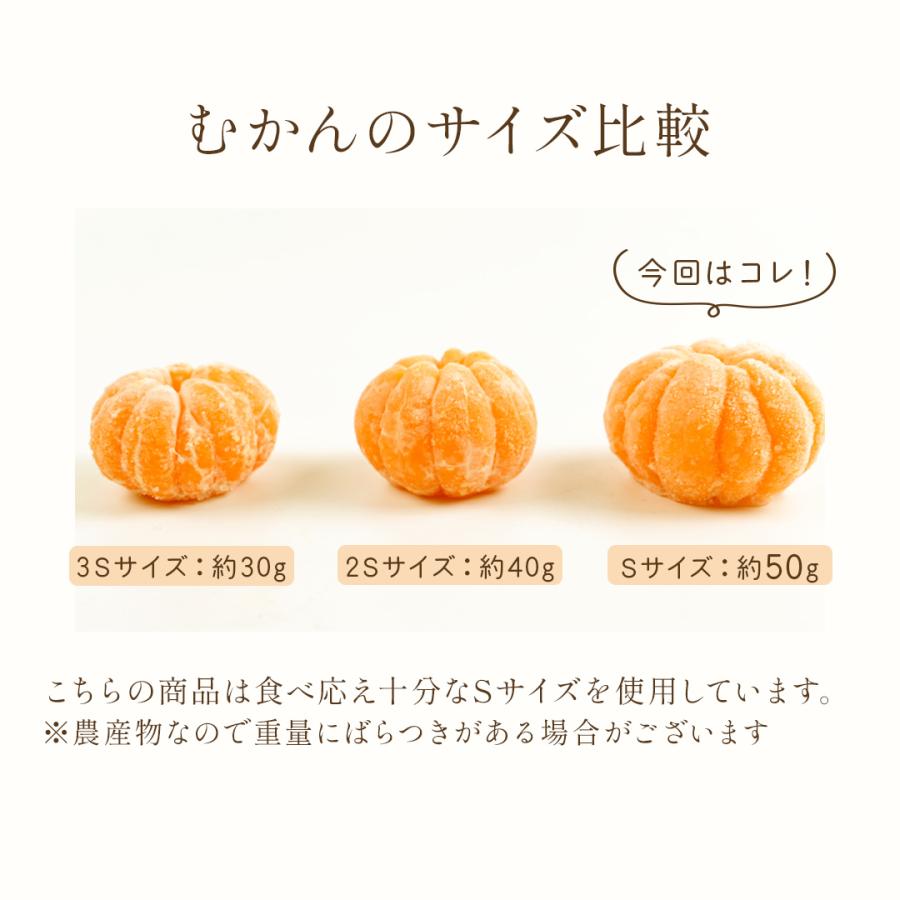 八ちゃん堂 母の日 【ギフト対応】 むかんセット 送料無料 冷凍みかん