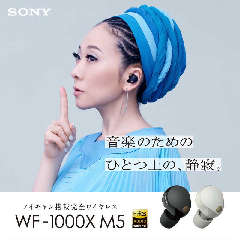 SONY（ソニー） 完全ワイヤレスイヤホン プラチナシルバー ノイズ