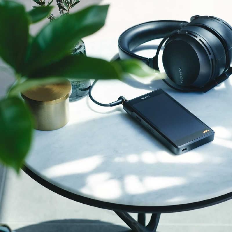 SONY（ソニー） ウォークマンWM1シリーズ ブラック [ハイレゾ対応