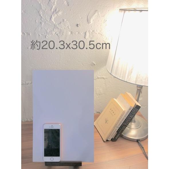 ほぼA4サイズ) バッファロー'66 Buffalo '66 ヴィンセントギャロ