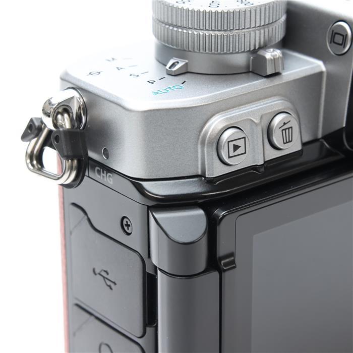 ニコン（Nikon） 《美品》Nikon Zf ボディ プレミアムエクステリア張替