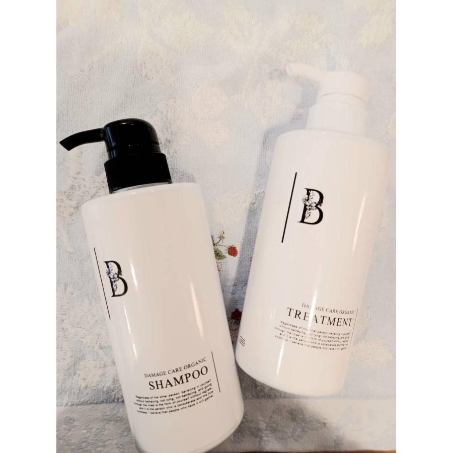 ネフェルシャンプーさらさらタイプ サロン専売品 大容量600ml 4本