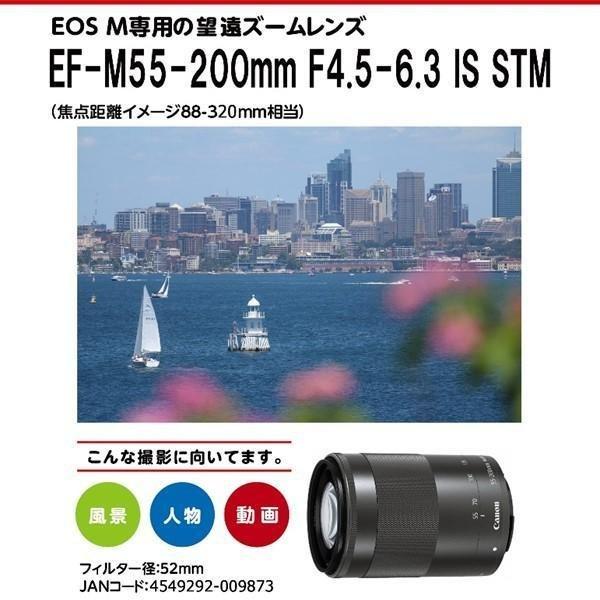 EF-M Canon EF-M55-200mm F4.5-6.3 IS STM シルバー キヤノン 望遠